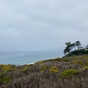 Meet your Posher, Sydney